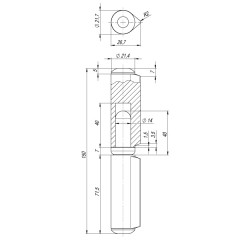 Петля приварная T2/150-22 с подшипником